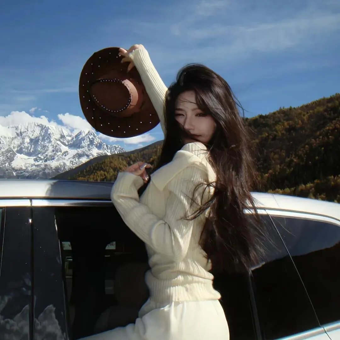 雪豹之暗战天机